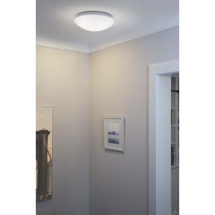 Osram - Plafón LED ESSENTIAL LED/13W/230V 6500K Ø 25 cm