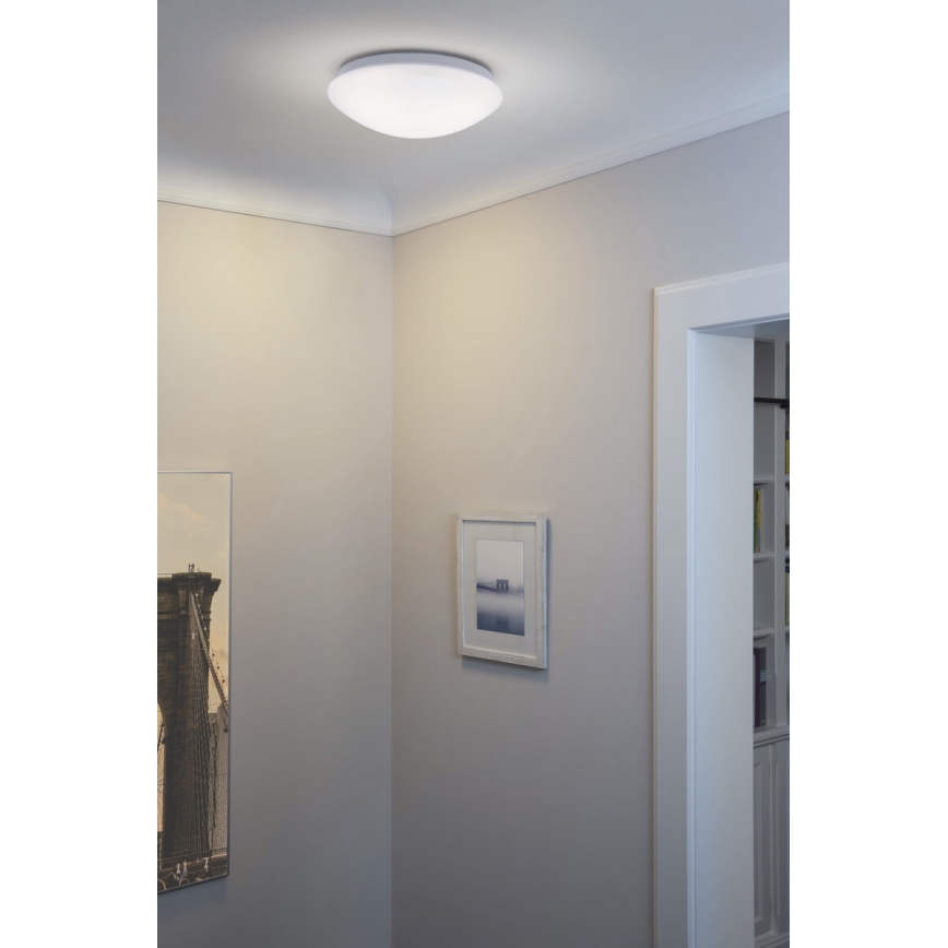 Osram - Plafón LED ESSENTIAL LED/13W/230V 6500K Ø 25 cm