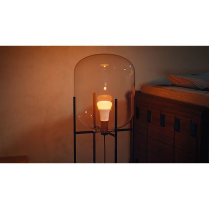 Pack de 2 bombillas LED regulables Philips Hue WHITE AND COLOR AMBIANCE E27/8,1W/230V 1000-20000K