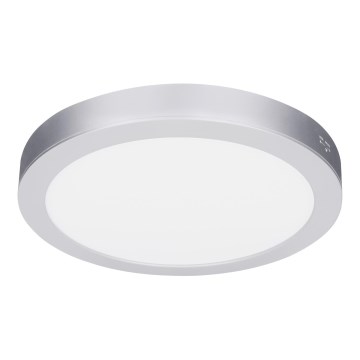 Panel LED 2 en 1 empotrable o de superficie 18W/230V 3000/4000/6000K Ø 22,5 cm IP54 plateado