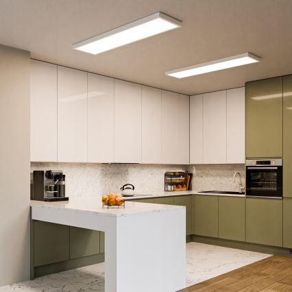 Panel LED de montaje en superficie/60W/230V 30x120 cm blanco