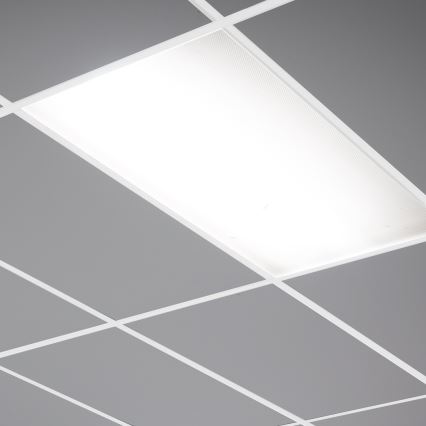 Panel LED LED/24W/230V 4000K