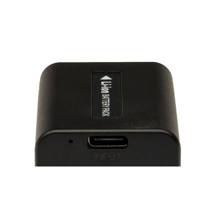 PATONA - Batería Sony NP-FV100 3090mAh Li-Ion Platinum cargador USB-C