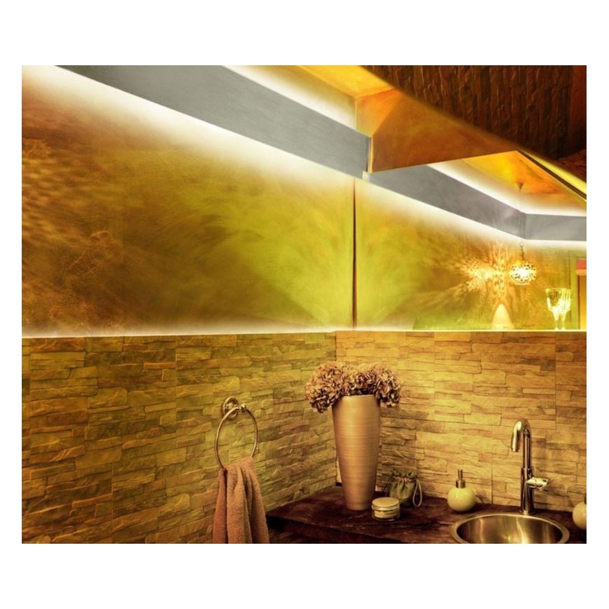 Paul Neuhaus 1205-70 - Cinta LED RGB regulable TEANIA 10m LED/30W/12/230V + mando a distancia
