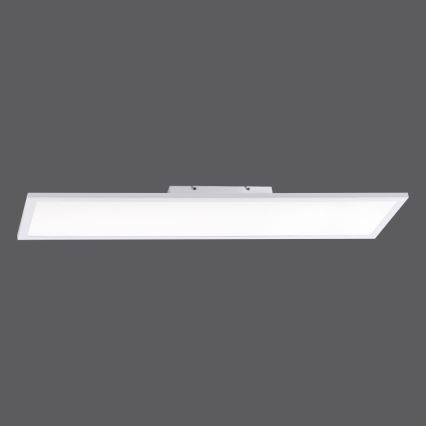 Paul Neuhaus 16533-16-O - Panel LED regulable de superficie FLAT LED/24W/230V 2700-5000K blanco + mando a distancia