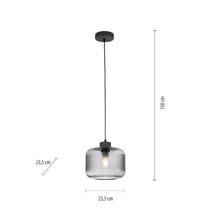 Paul Neuhaus 2005-25 - Lámpara colgante BOLETUS 1xE27/10W/230V diá. 23,5 cm gris