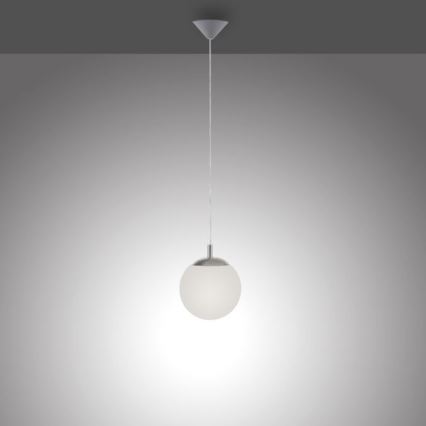 Paul Neuhaus 2072-55 - Lámpara colgante BOLO 1xE27/60W/230V diá. 20 cm