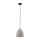 Paul Neuhaus 2231-22 - Lámpara colgante ETON 1xE27/40W/230V concreto