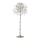 Paul Neuhaus 232-55 - Lámpara de pie ICICLE 5xG9/40W230V cromo brillante