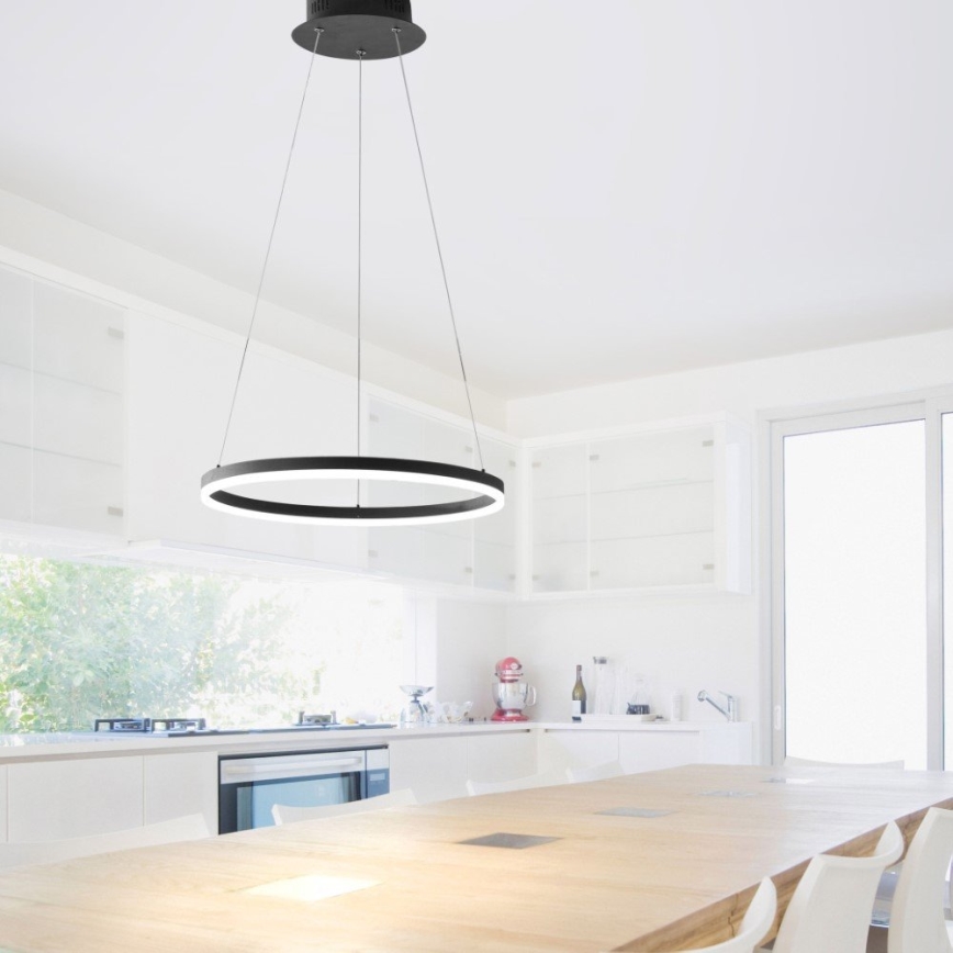 Paul Neuhaus 2381-13 - Lámpara colgante LED regulable TITUS LED/28W/230V