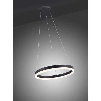 Paul Neuhaus 2381-13 - Lámpara colgante LED regulable TITUS LED/28W/230V