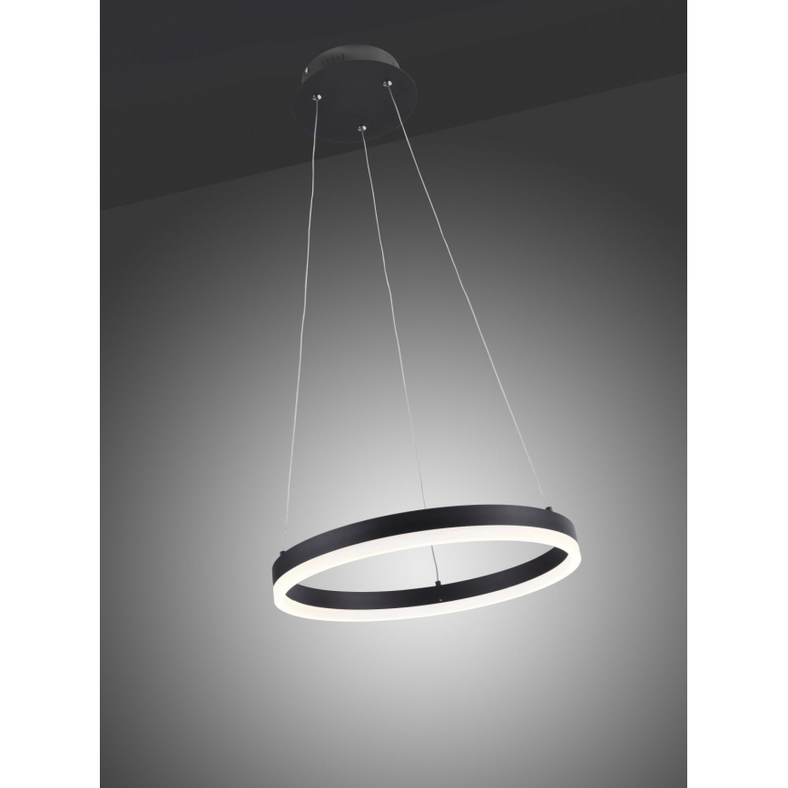 Paul Neuhaus 2381-13 - Lámpara colgante LED regulable TITUS LED/28W/230V