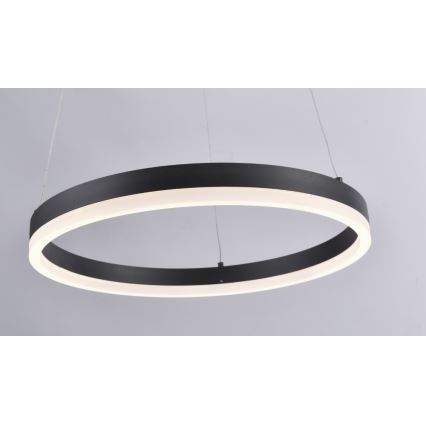 Paul Neuhaus 2381-13 - Lámpara colgante LED regulable TITUS LED/28W/230V