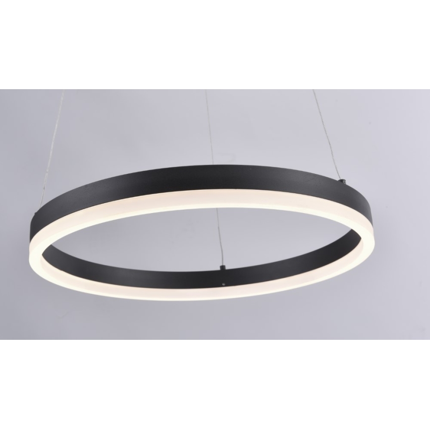 Paul Neuhaus 2381-13 - Lámpara colgante LED regulable TITUS LED/28W/230V
