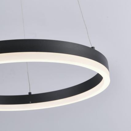 Paul Neuhaus 2381-13 - Lámpara colgante LED regulable TITUS LED/28W/230V