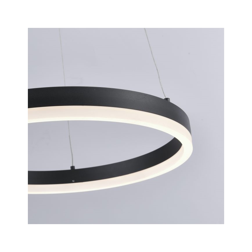 Paul Neuhaus 2381-13 - Lámpara colgante LED regulable TITUS LED/28W/230V