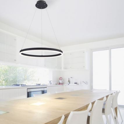 Paul Neuhaus 2382-13 - Lámpara colgante LED regulable TITUS LED/38,5W/230V