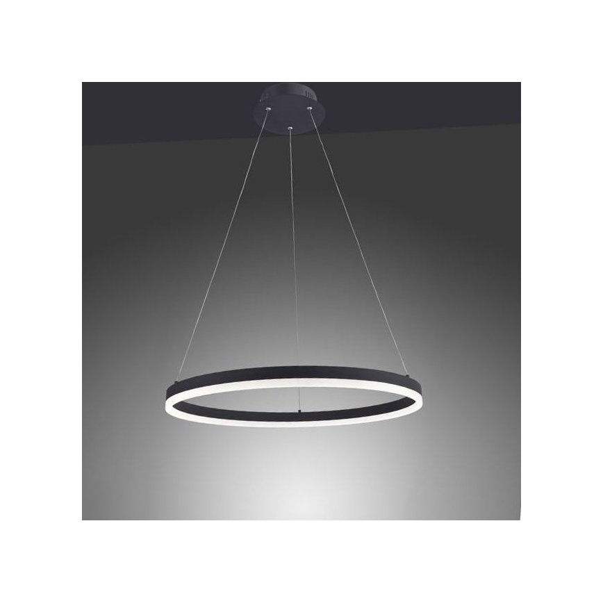 Paul Neuhaus 2382-13 - Lámpara colgante LED regulable TITUS LED/38,5W/230V