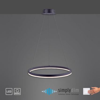 Paul Neuhaus 2382-13 - Lámpara colgante LED regulable TITUS LED/38,5W/230V