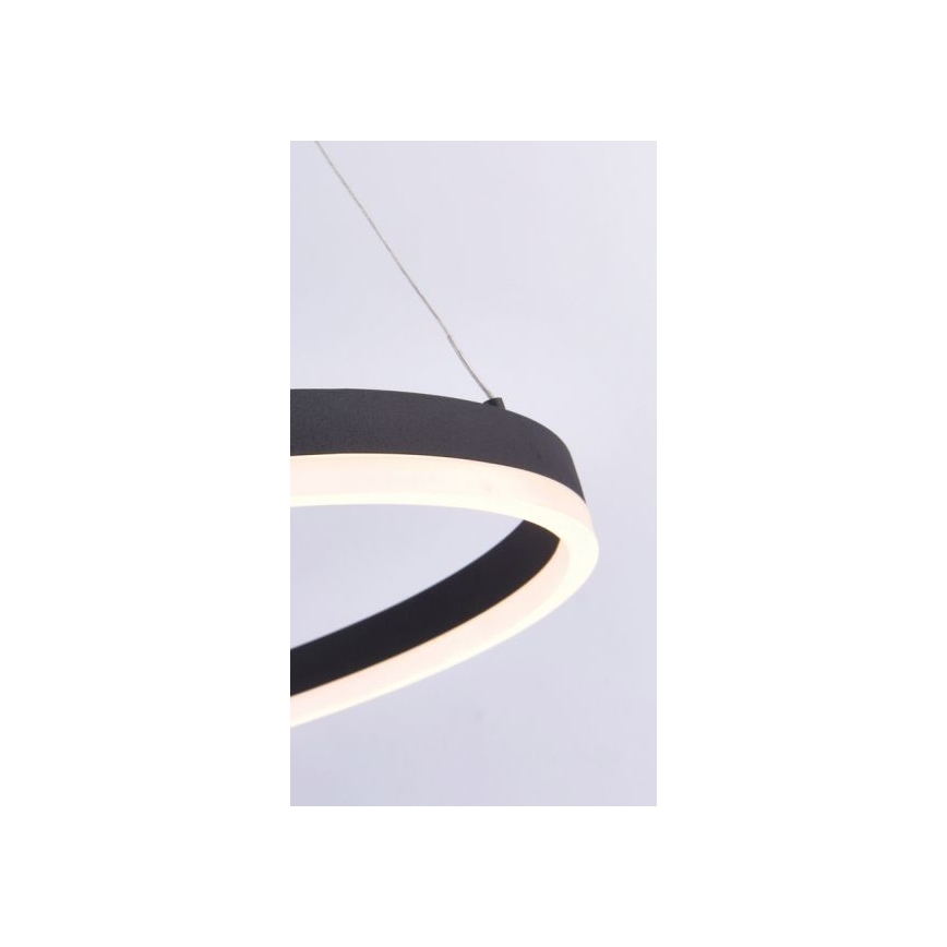 Paul Neuhaus 2382-13 - Lámpara colgante LED regulable TITUS LED/38,5W/230V