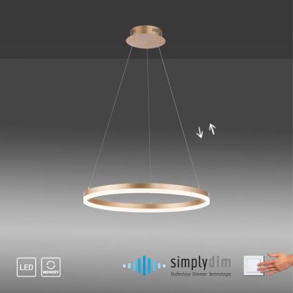 Paul Neuhaus 2382-60 - Lámpara de araña LED regulable TITUS LED/38,5W/230V
