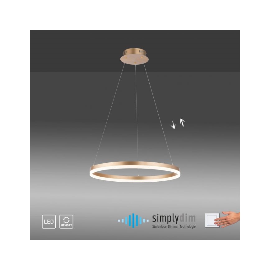 Paul Neuhaus 2382-60 - Lámpara de araña LED regulable TITUS LED/38,5W/230V