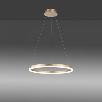 Paul Neuhaus 2382-60 - Lámpara de araña LED regulable TITUS LED/38,5W/230V