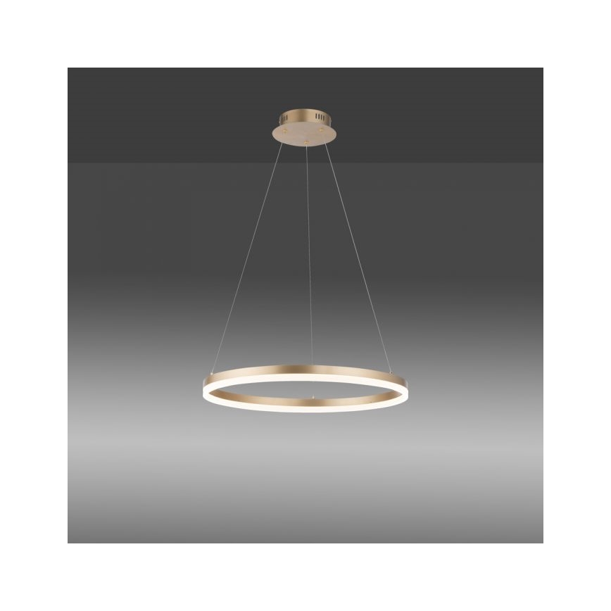 Paul Neuhaus 2382-60 - Lámpara de araña LED regulable TITUS LED/38,5W/230V