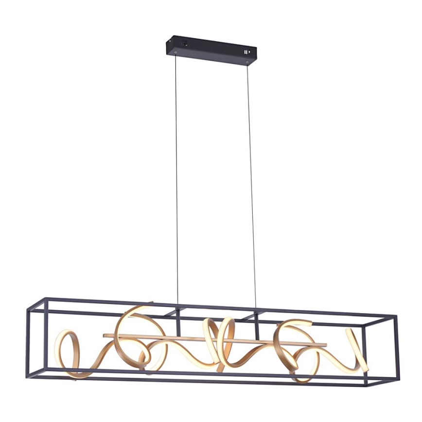 Paul Neuhaus 2416-18 - LED Lámpara colgante regulable SELINA 4xLED/10,2W/230V