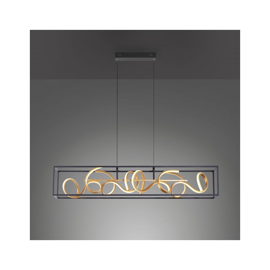 Paul Neuhaus 2416-18 - LED Lámpara colgante regulable SELINA 4xLED/10,2W/230V