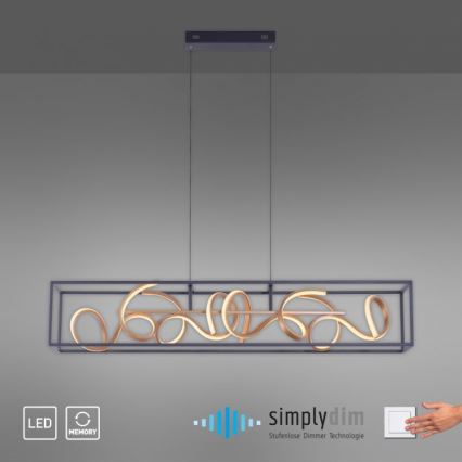 Paul Neuhaus 2416-18 - LED Lámpara colgante regulable SELINA 4xLED/10,2W/230V