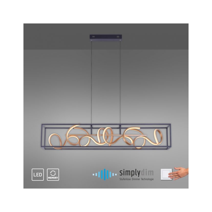 Paul Neuhaus 2416-18 - LED Lámpara colgante regulable SELINA 4xLED/10,2W/230V
