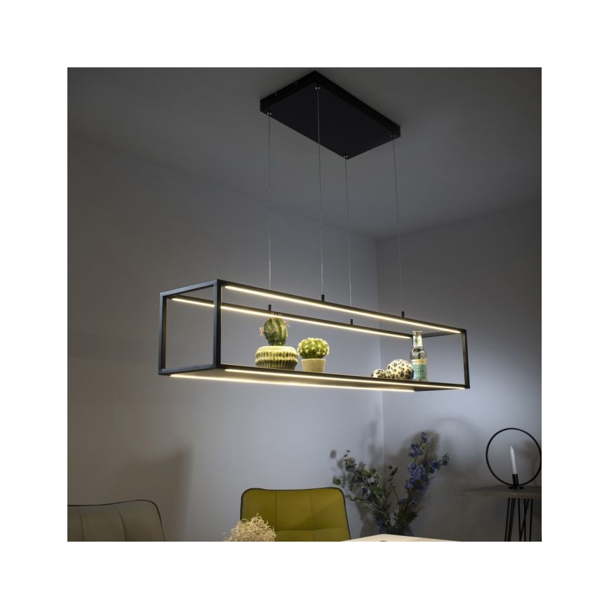 Paul Neuhaus 2441-18 - Lámpara colgante LED regulable CONTURA 4xLED/8W/230V
