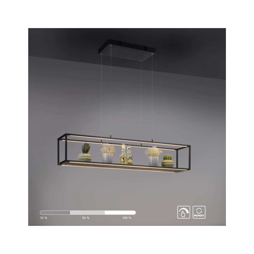 Paul Neuhaus 2441-18 - Lámpara colgante LED regulable CONTURA 4xLED/8W/230V