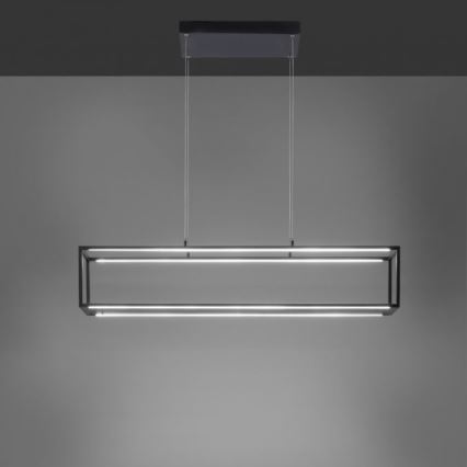 Paul Neuhaus 2441-18 - Lámpara colgante LED regulable CONTURA 4xLED/8W/230V