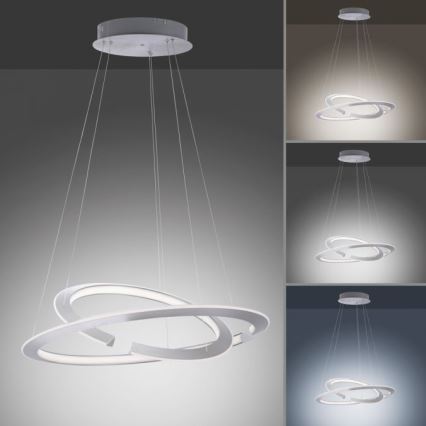 Paul Neuhaus 2491-55 - Lámpara colgante de luces LED regulable ALESSA 2xLED/26W/230V + CR