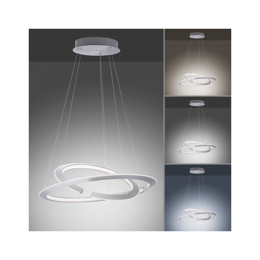 Paul Neuhaus 2491-55 - Lámpara colgante de luces LED regulable ALESSA 2xLED/26W/230V + CR