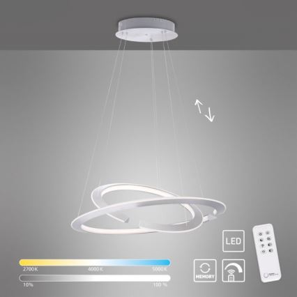 Paul Neuhaus 2491-55 - Lámpara colgante LED regulable con cable ALESSA 2xLED/26W/230V + mando a distancia
