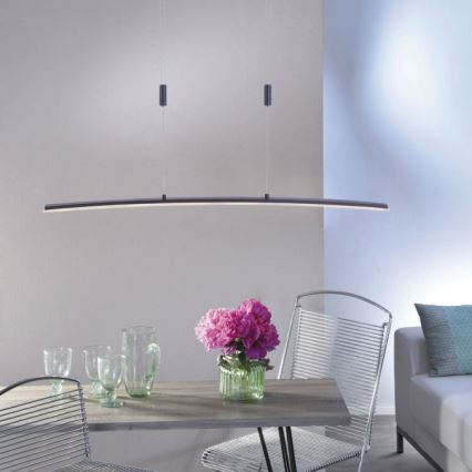 Paul Neuhaus 2530-13 - Lámpara colgante LED regulable JANINA LED/27W/230V