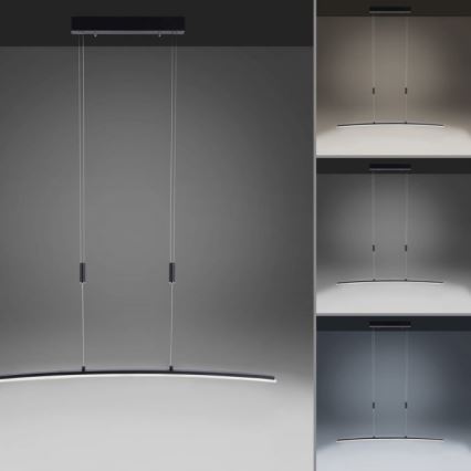 Paul Neuhaus 2530-13 - Lámpara colgante LED regulable JANINA LED/27W/230V
