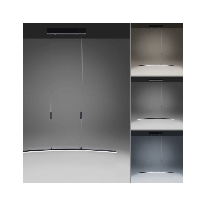 Paul Neuhaus 2530-13 - Lámpara colgante LED regulable JANINA LED/27W/230V