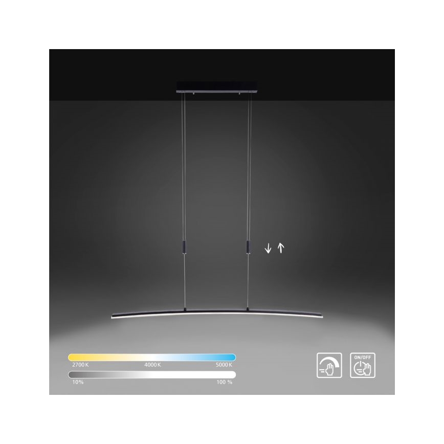 Paul Neuhaus 2530-13 - Lámpara colgante LED regulable JANINA LED/27W/230V