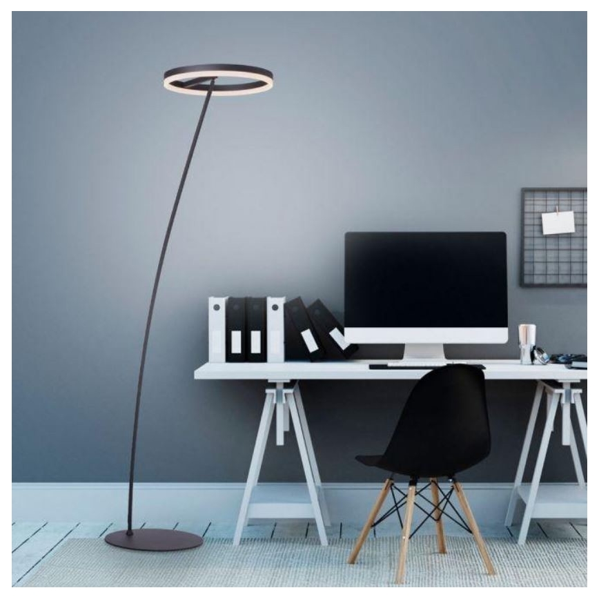 Paul Neuhaus 381-13 - Lámpara de pie LED regulable TITUS LED/19,5W/230V