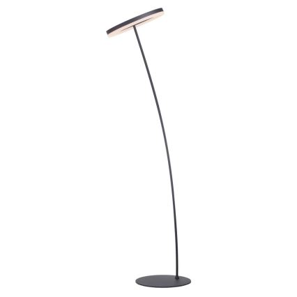 Paul Neuhaus 381-13 - Lámpara de pie LED regulable TITUS LED/19,5W/230V