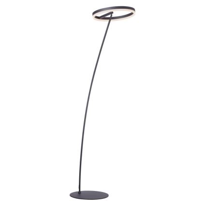 Paul Neuhaus 381-13 - Lámpara de pie LED regulable TITUS LED/19,5W/230V