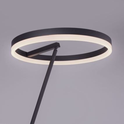 Paul Neuhaus 381-13 - Lámpara de pie LED regulable TITUS LED/19,5W/230V