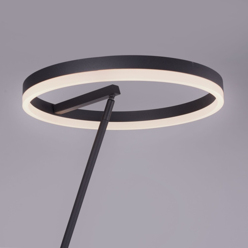 Paul Neuhaus 381-13 - Lámpara de pie LED regulable TITUS LED/19,5W/230V