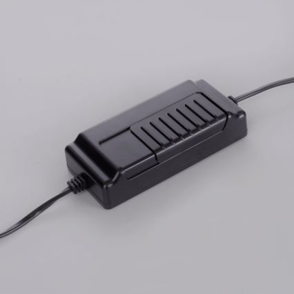 Paul Neuhaus 381-13 - Lámpara de pie LED regulable TITUS LED/19,5W/230V