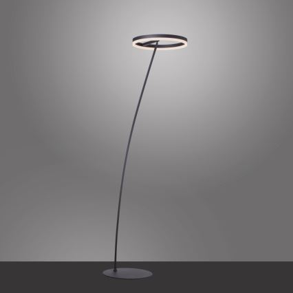 Paul Neuhaus 381-13 - Lámpara de pie LED regulable TITUS LED/19,5W/230V
