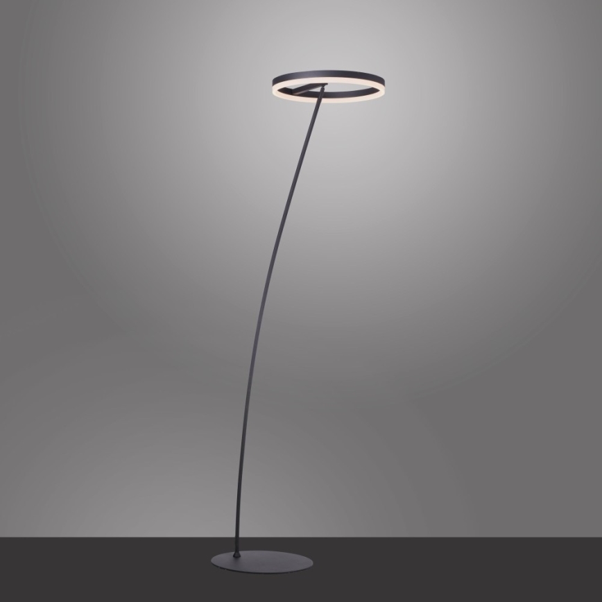 Paul Neuhaus 381-13 - Lámpara de pie LED regulable TITUS LED/19,5W/230V